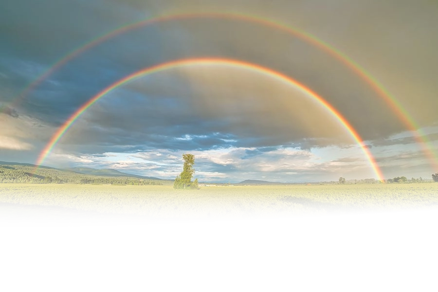 TĘCZA z FoE