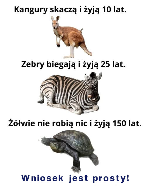 Wniosek jest prosty