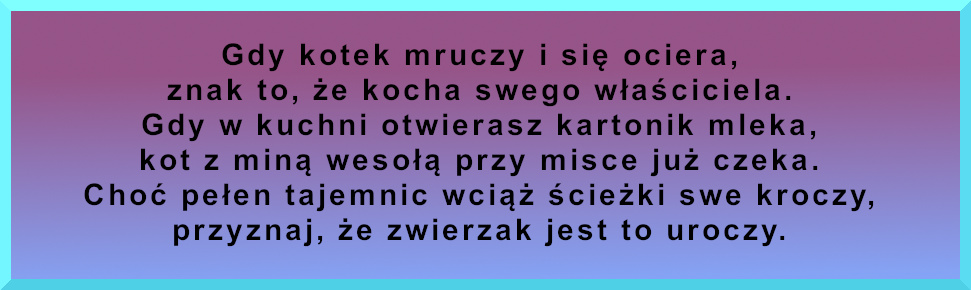 wierszyki, wiersz o kocie